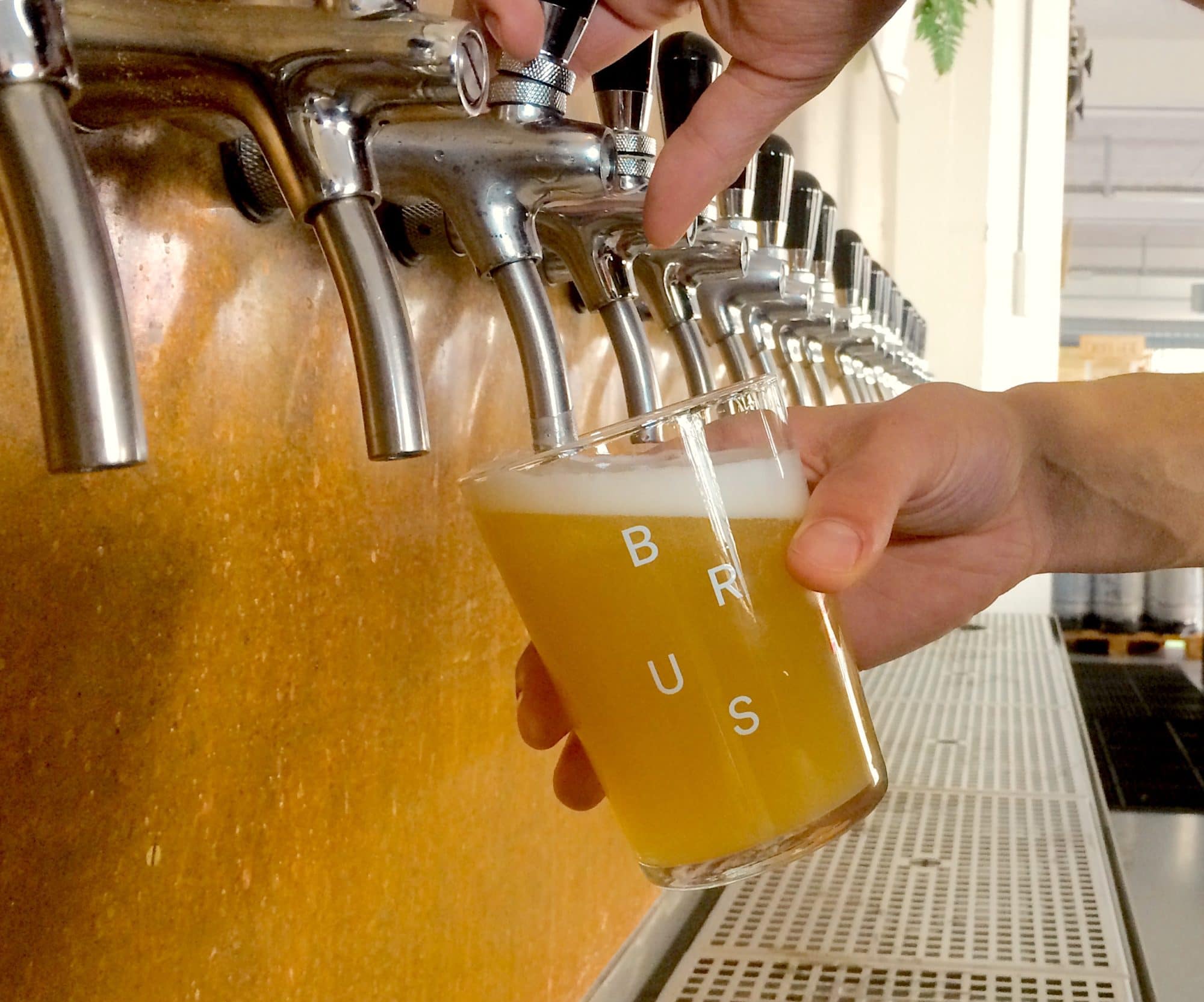 Track Brewing TTO at BRUS