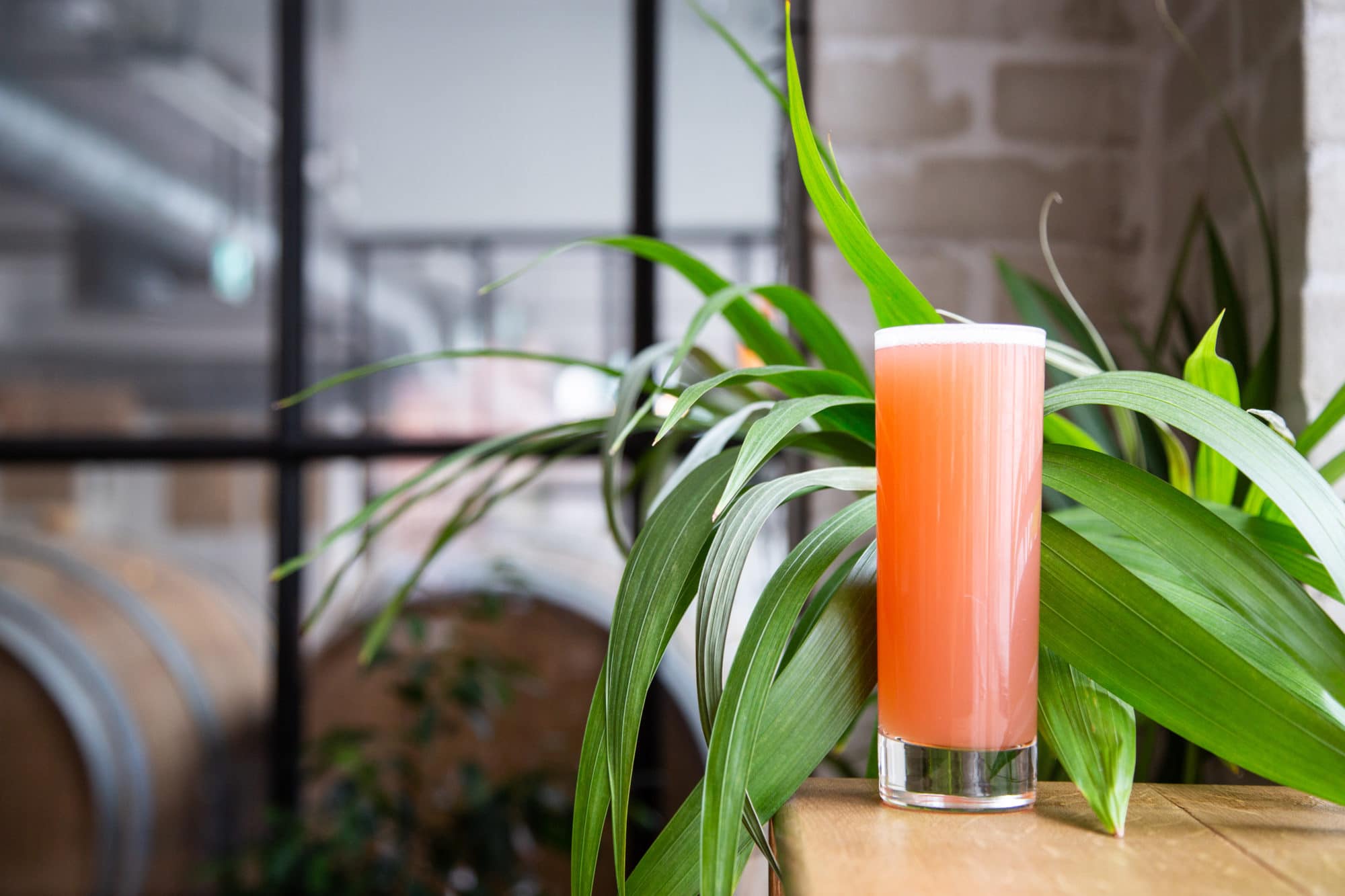 Mikropolis Cocktails