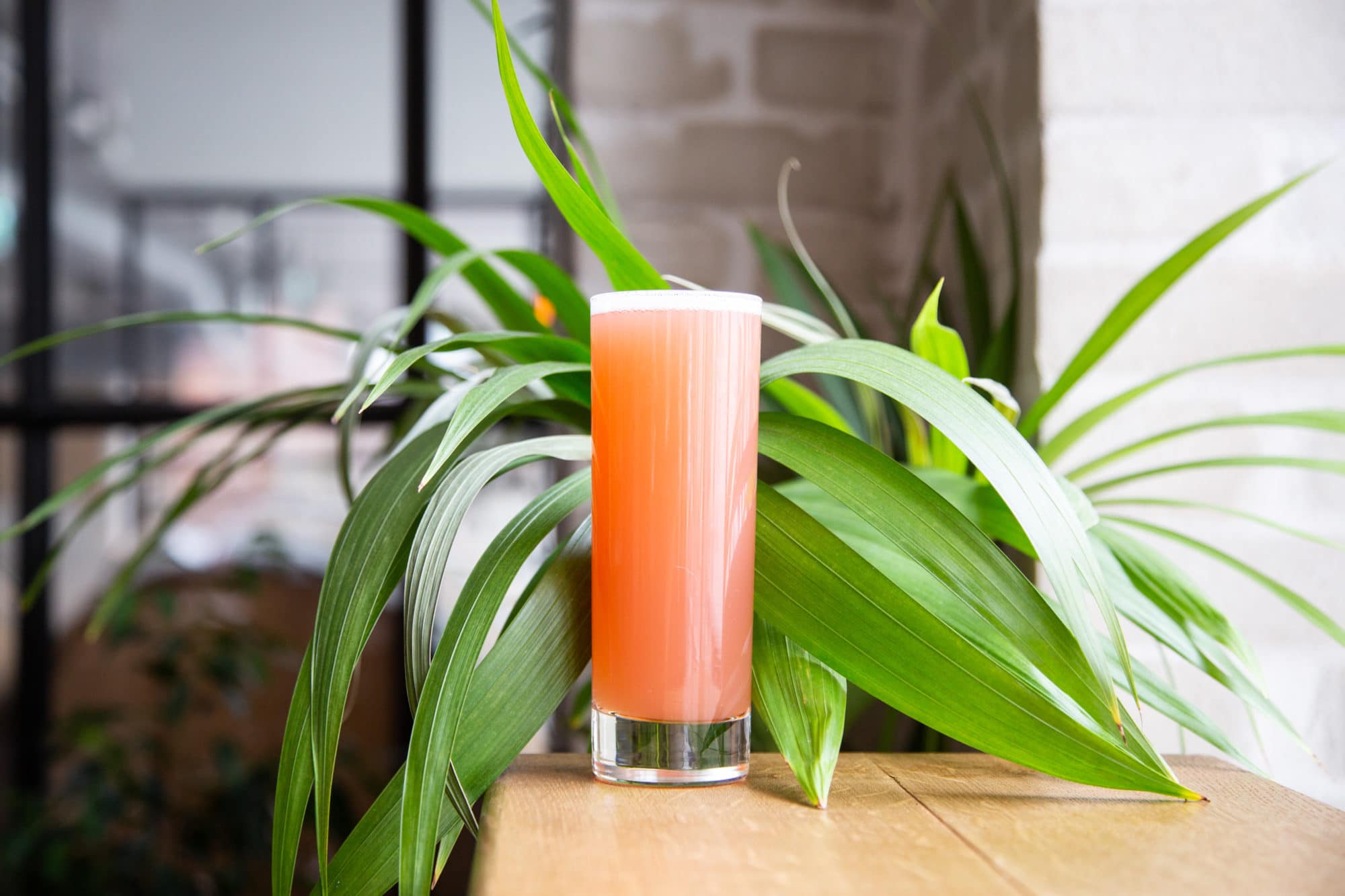 Mikropolis Cocktails