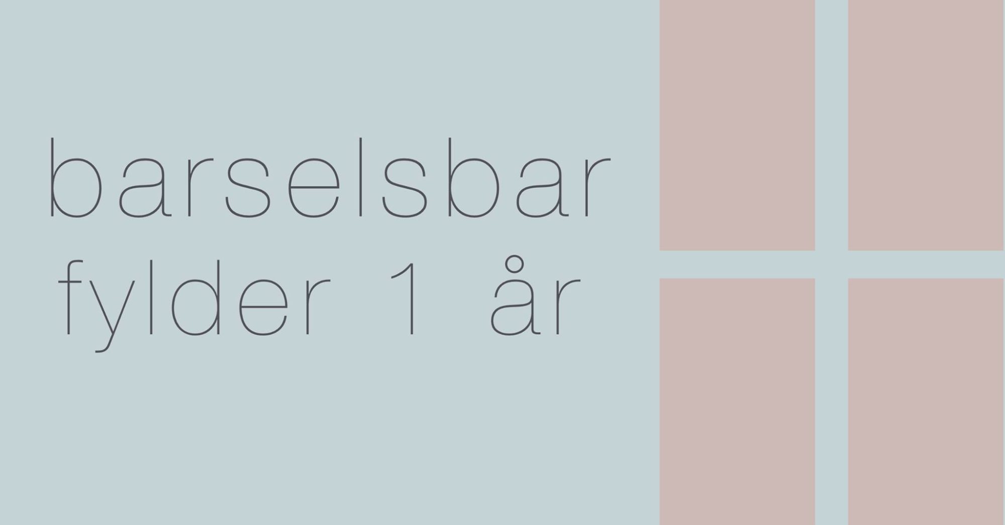 BarselsBar Turns 1 Year Old!